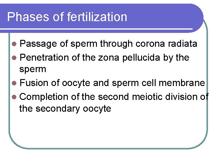 Phases of fertilization l Passage of sperm through corona radiata l Penetration of the