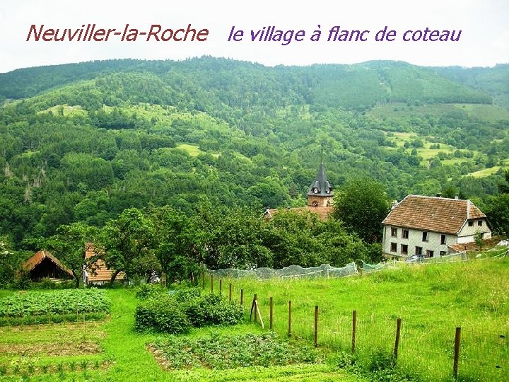 Neuviller-la-Roche le village à flanc de coteau 