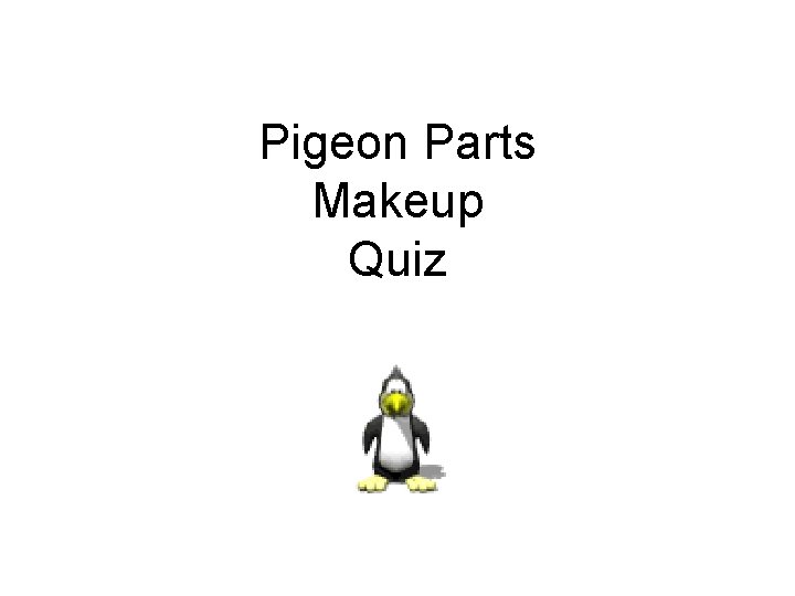 Pigeon Parts Makeup Quiz 