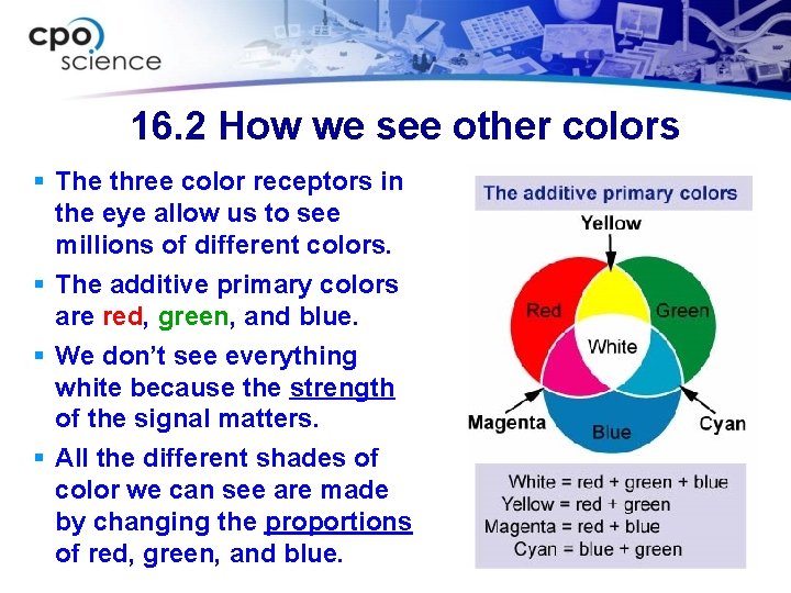 16. 2 How we see other colors The three color receptors in the eye