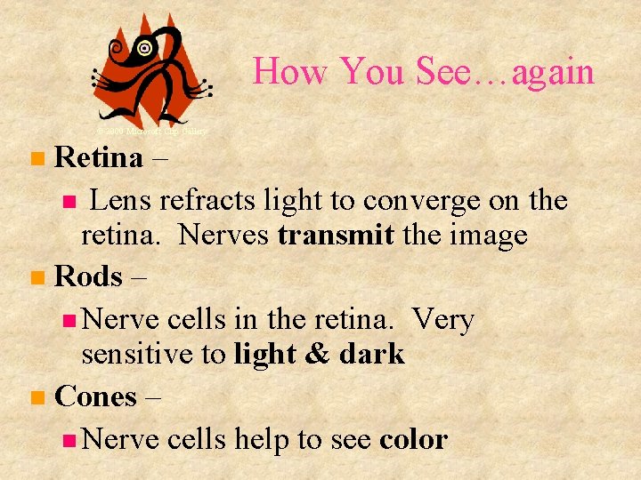 How You See…again © 2000 Microsoft Clip Gallery Retina – Lens refracts light to