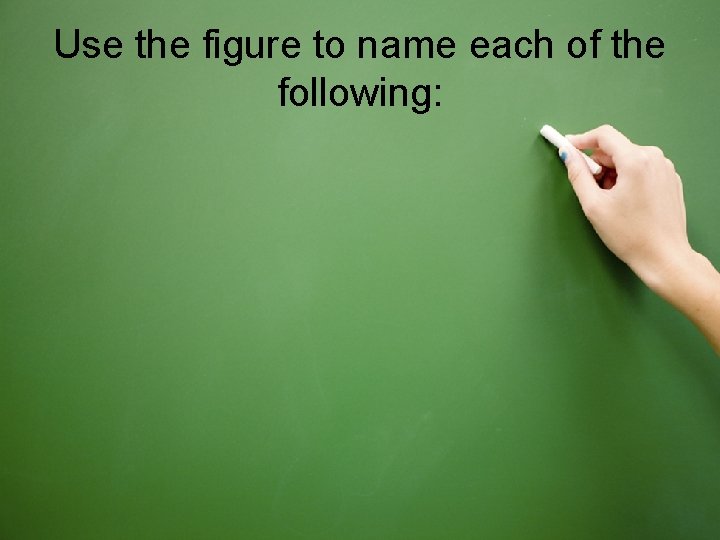 Use the figure to name each of the following: 