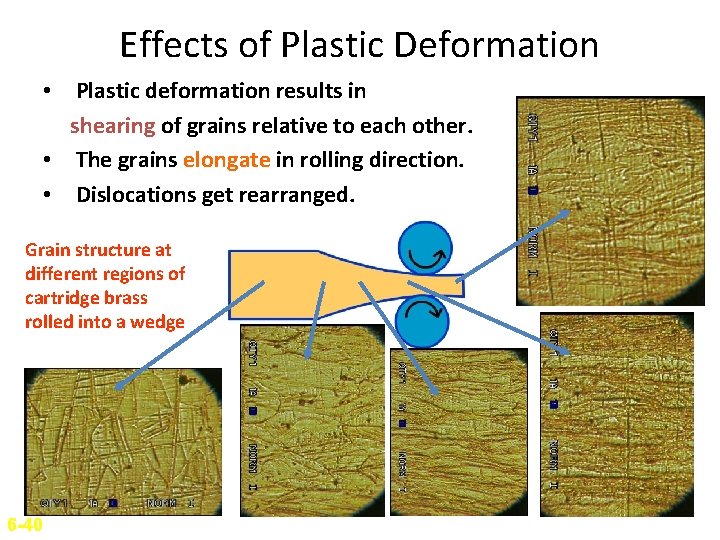 Effects of Plastic Deformation • Plastic deformation results in shearing of grains relative to