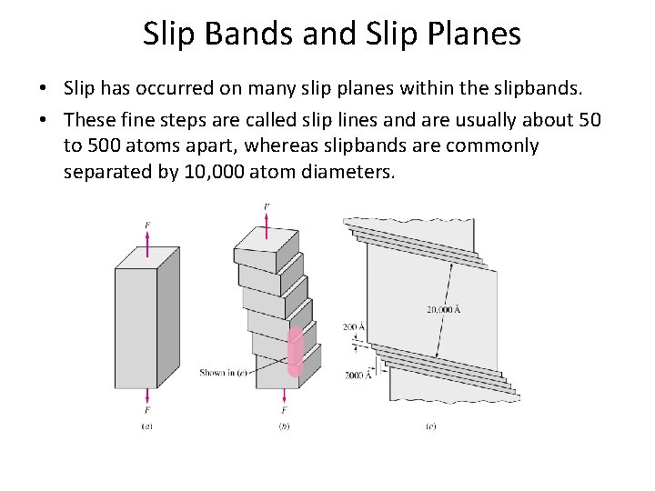 Slip Bands and Slip Planes • Slip has occurred on many slip planes within