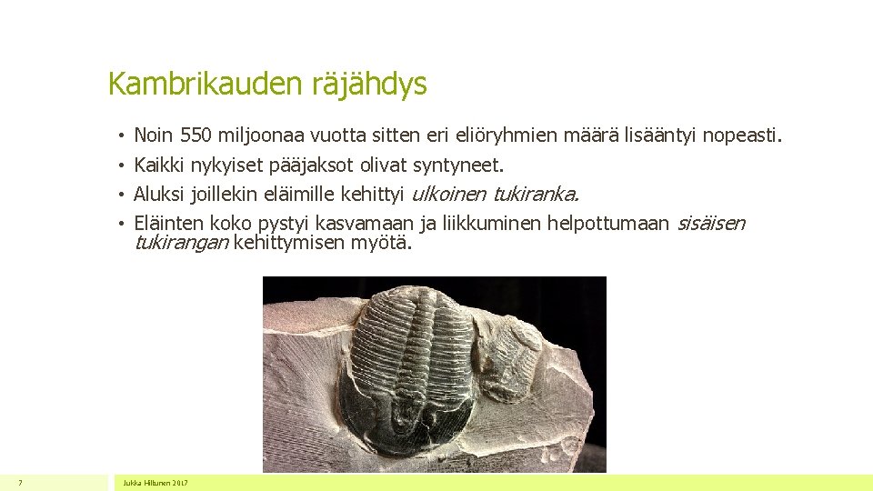 Kambrikauden räjähdys • • 7 Noin 550 miljoonaa vuotta sitten eri eliöryhmien määrä lisääntyi