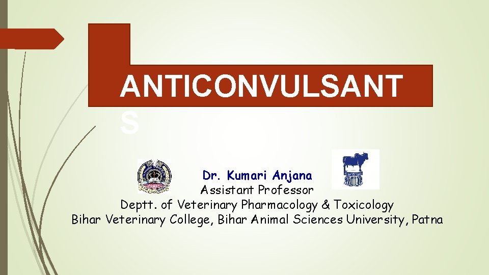 ANTICONVULSANT S Dr. Kumari Anjana Assistant Professor Deptt. of Veterinary Pharmacology & Toxicology Bihar