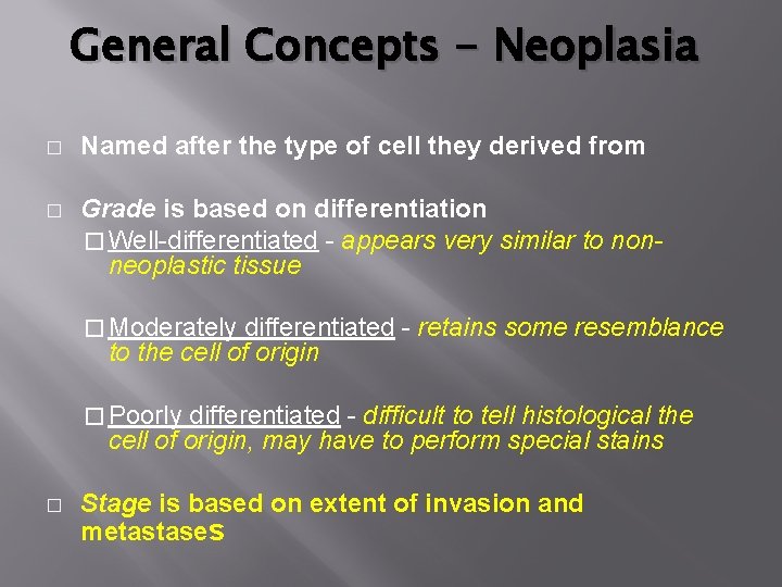 General Concepts - Neoplasia � Named after the type of cell they derived from