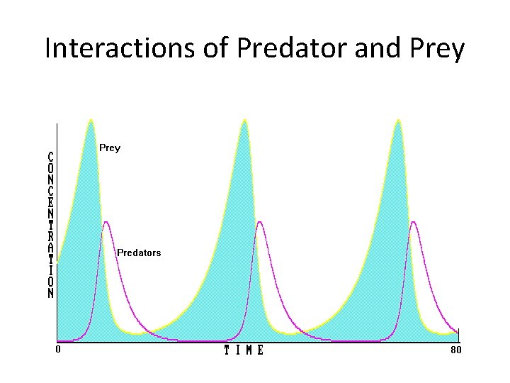 Interactions of Predator and Prey 
