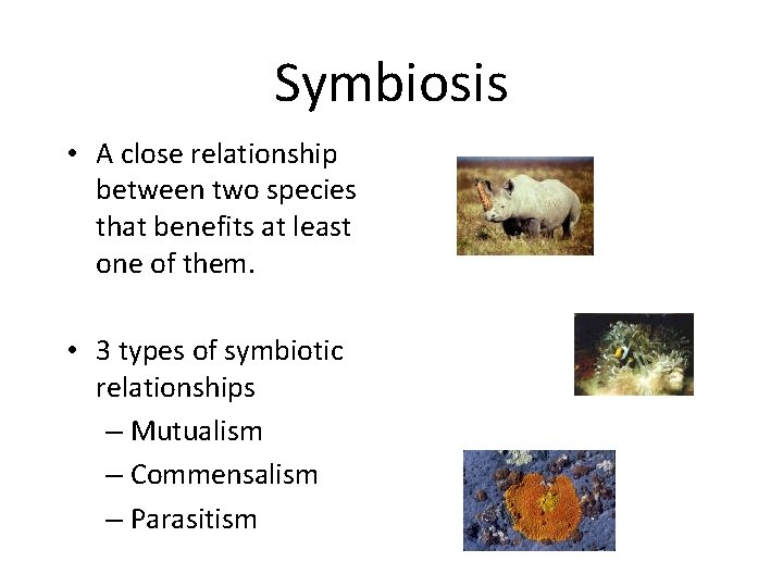 Symbiosis • A close relationship between two species that benefits at least one of