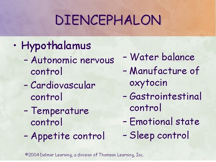 DIENCEPHALON • Hypothalamus – Autonomic nervous control – Cardiovascular control – Temperature control – DIENCEPHALON • Hypothalamus – Autonomic nervous control – Cardiovascular control – Temperature control –