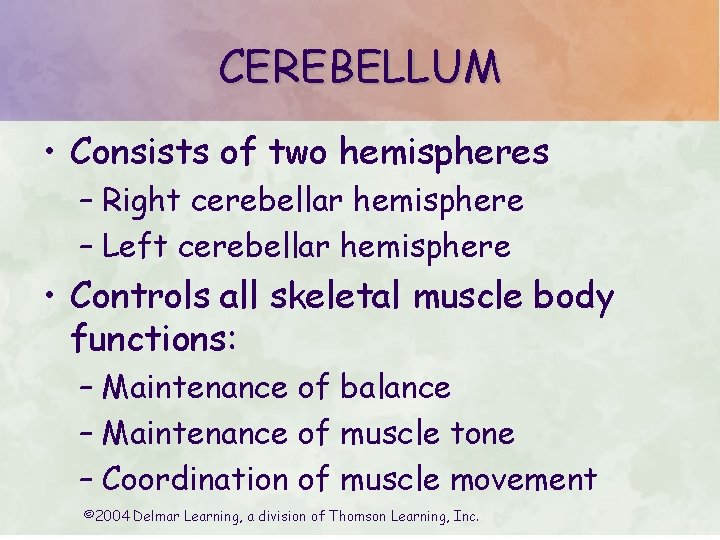 CEREBELLUM • Consists of two hemispheres – Right cerebellar hemisphere – Left cerebellar hemisphere CEREBELLUM • Consists of two hemispheres – Right cerebellar hemisphere – Left cerebellar hemisphere