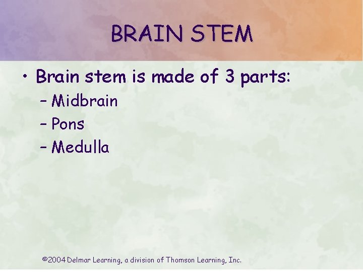 BRAIN STEM • Brain stem is made of 3 parts: – Midbrain – Pons BRAIN STEM • Brain stem is made of 3 parts: – Midbrain – Pons