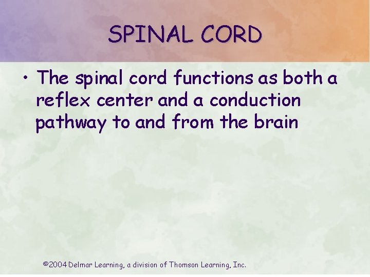 SPINAL CORD • The spinal cord functions as both a reflex center and a SPINAL CORD • The spinal cord functions as both a reflex center and a