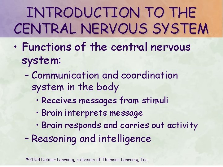 INTRODUCTION TO THE CENTRAL NERVOUS SYSTEM • Functions of the central nervous system: – INTRODUCTION TO THE CENTRAL NERVOUS SYSTEM • Functions of the central nervous system: –