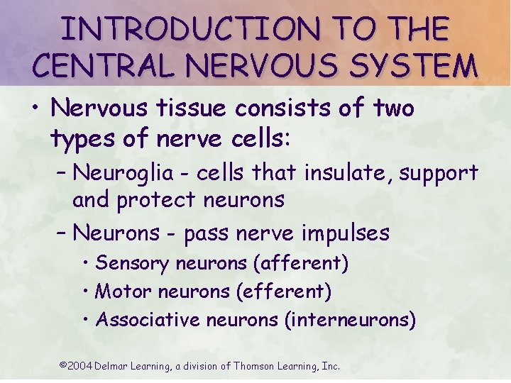 INTRODUCTION TO THE CENTRAL NERVOUS SYSTEM • Nervous tissue consists of two types of INTRODUCTION TO THE CENTRAL NERVOUS SYSTEM • Nervous tissue consists of two types of