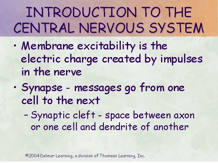 INTRODUCTION TO THE CENTRAL NERVOUS SYSTEM • Membrane excitability is the electric charge created INTRODUCTION TO THE CENTRAL NERVOUS SYSTEM • Membrane excitability is the electric charge created