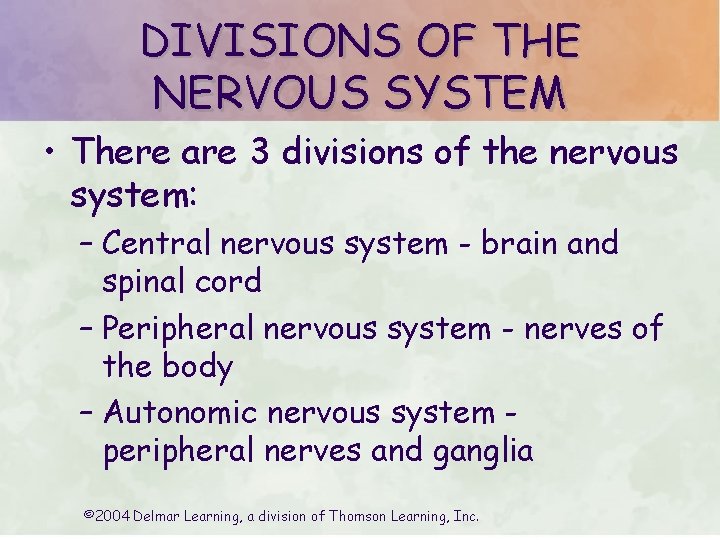 DIVISIONS OF THE NERVOUS SYSTEM • There are 3 divisions of the nervous system: DIVISIONS OF THE NERVOUS SYSTEM • There are 3 divisions of the nervous system:
