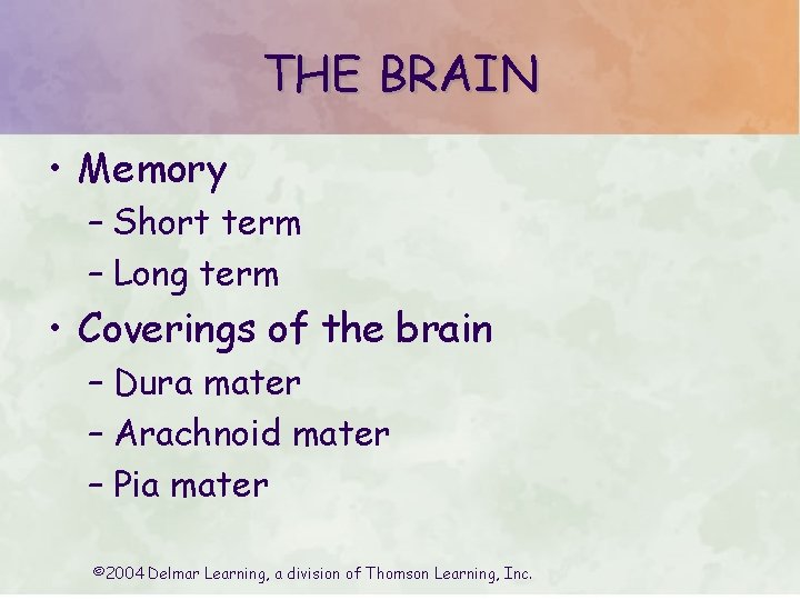 THE BRAIN • Memory – Short term – Long term • Coverings of the THE BRAIN • Memory – Short term – Long term • Coverings of the