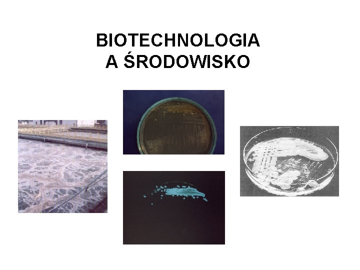 BIOTECHNOLOGIA A ŚRODOWISKO 