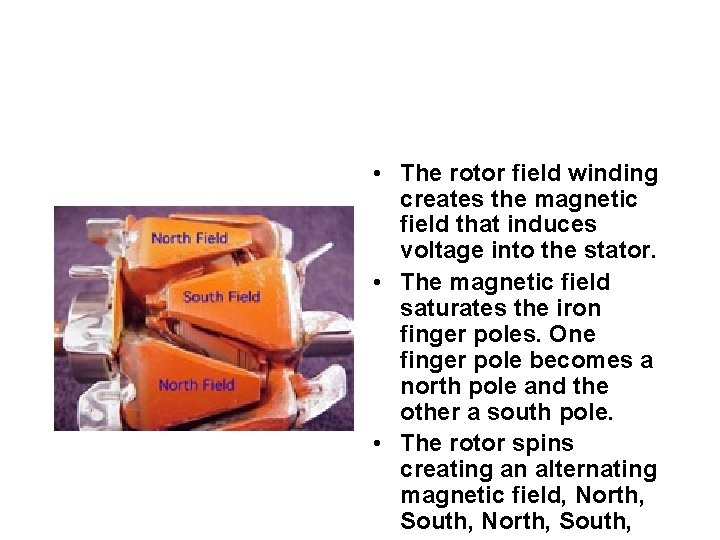  • The rotor field winding creates the magnetic field that induces voltage into