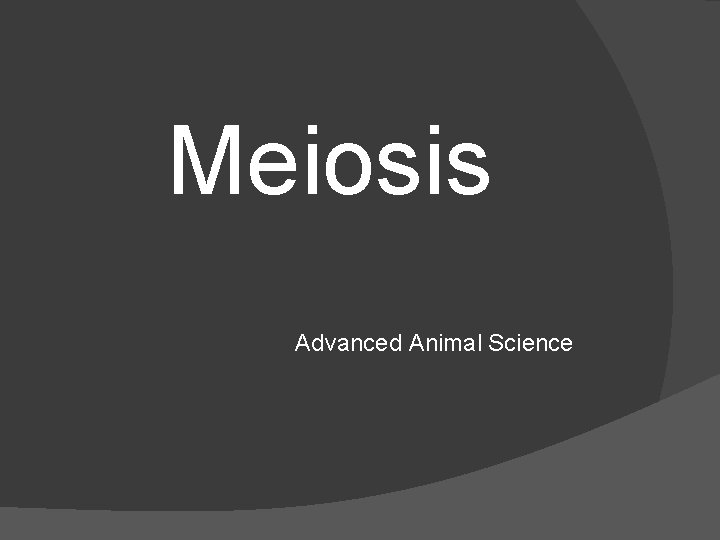 Meiosis Advanced Animal Science 