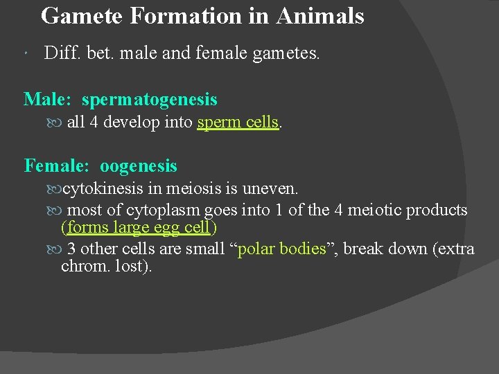 Gamete Formation in Animals Diff. bet. male and female gametes. Male: spermatogenesis all 4