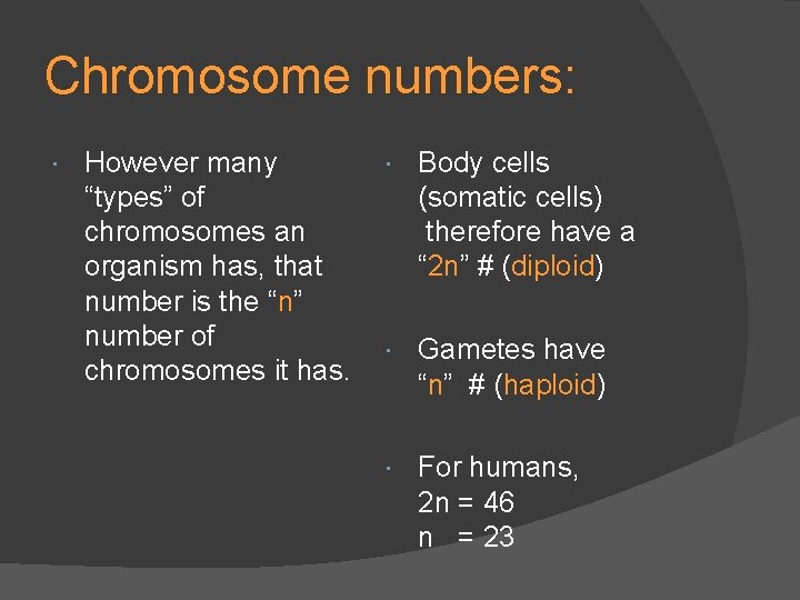 Chromosome numbers: However many “types” of chromosomes an organism has, that number is the