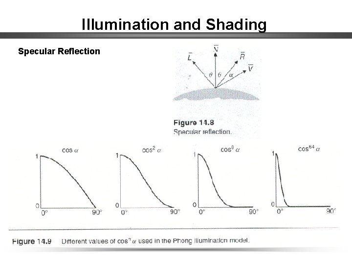 Illumination and Shading Specular Reflection 