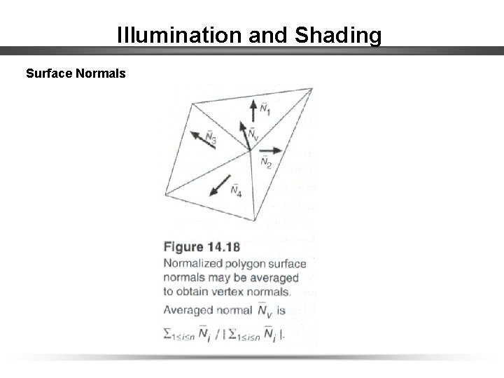 Illumination and Shading Surface Normals 