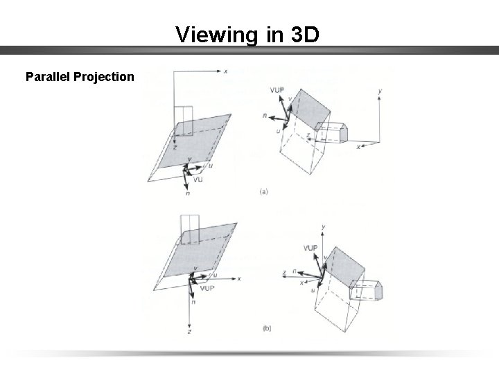 Viewing in 3 D Parallel Projection 