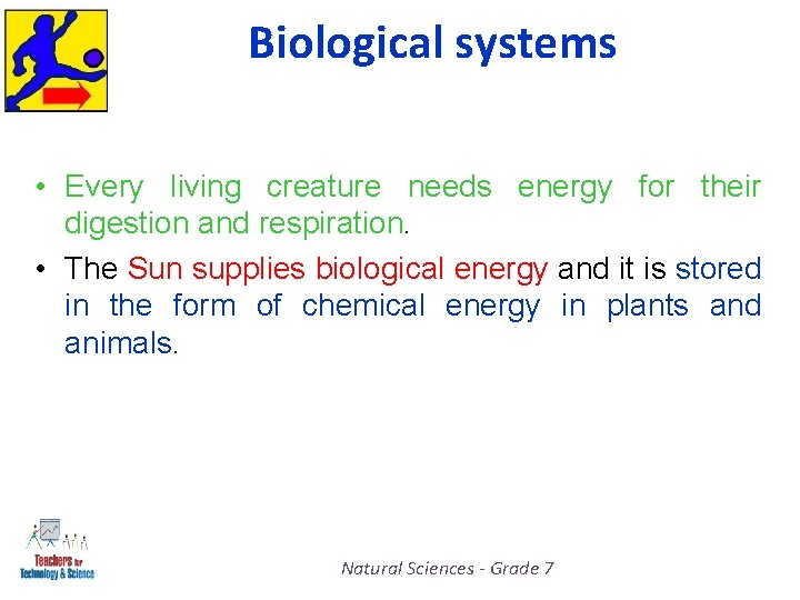 Biological systems • Every living creature needs energy for their digestion and respiration. •