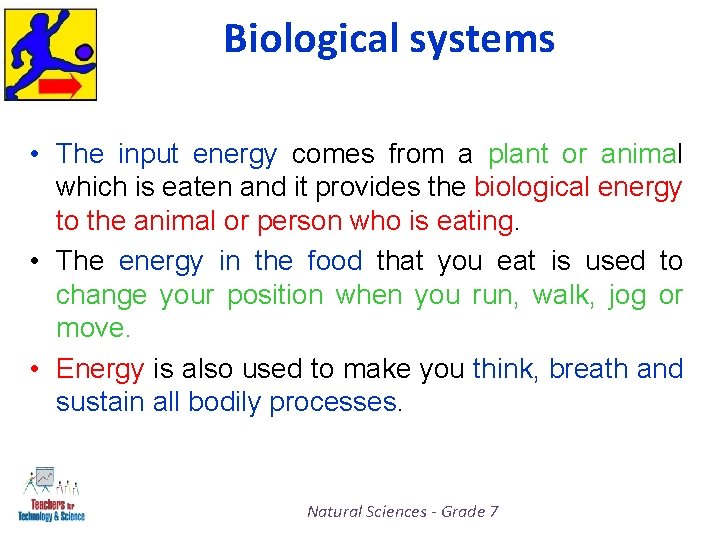 Biological systems • The input energy comes from a plant or animal which is