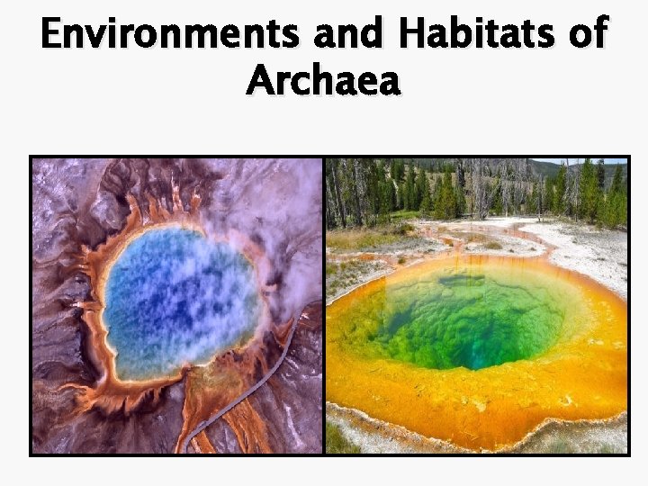 Environments and Habitats of Archaea 