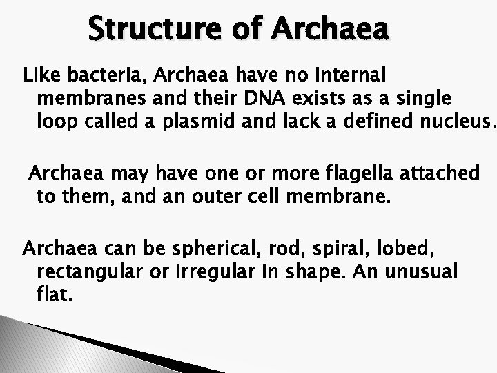 Structure of Archaea Like bacteria, Archaea have no internal membranes and their DNA exists