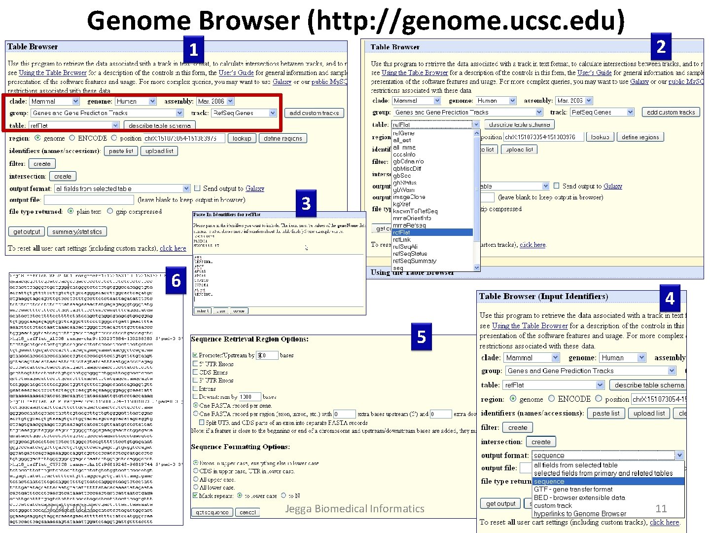 Genome Browser (http: //genome. ucsc. edu) 1 2 3 6 4 5 2/24/2012 Jegga
