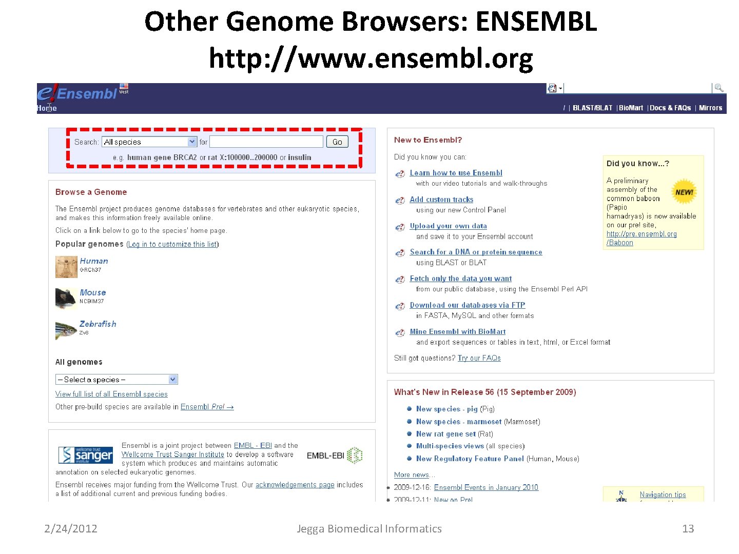 Other Genome Browsers: ENSEMBL http: //www. ensembl. org 2/24/2012 Jegga Biomedical Informatics 13 