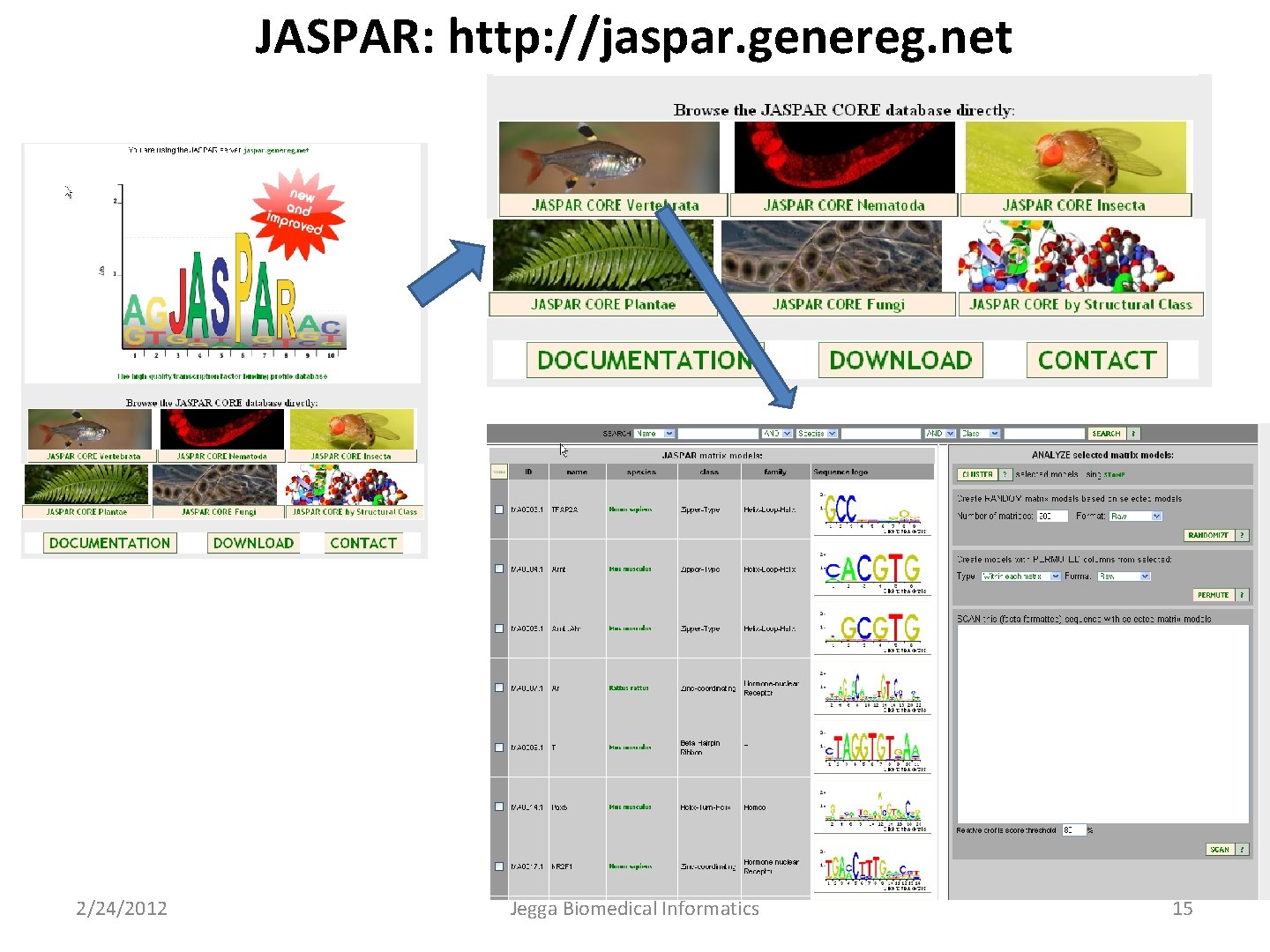 JASPAR: http: //jaspar. genereg. net 2/24/2012 Jegga Biomedical Informatics 15 