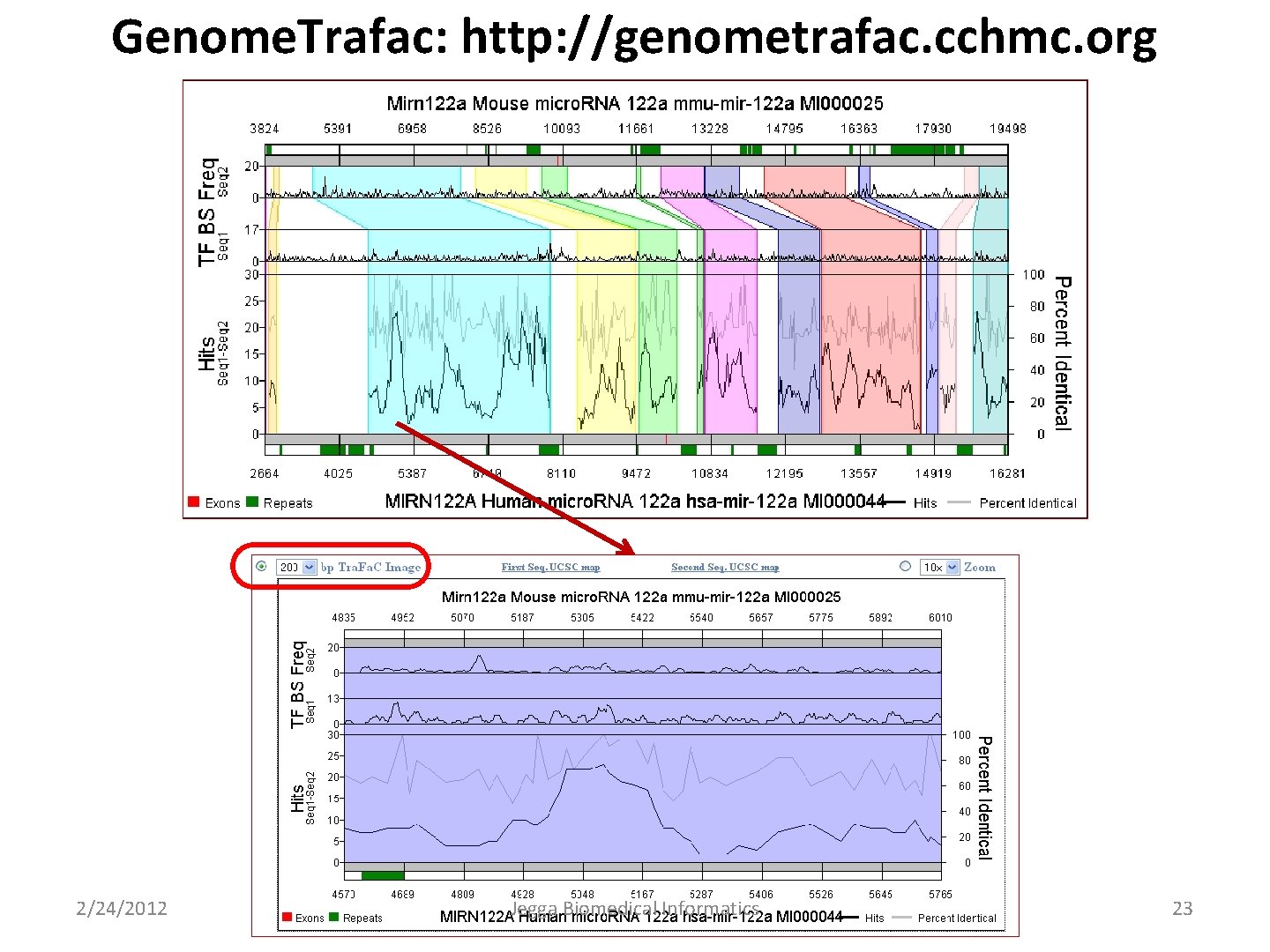 Genome. Trafac: http: //genometrafac. cchmc. org 2/24/2012 Jegga Biomedical Informatics 23 