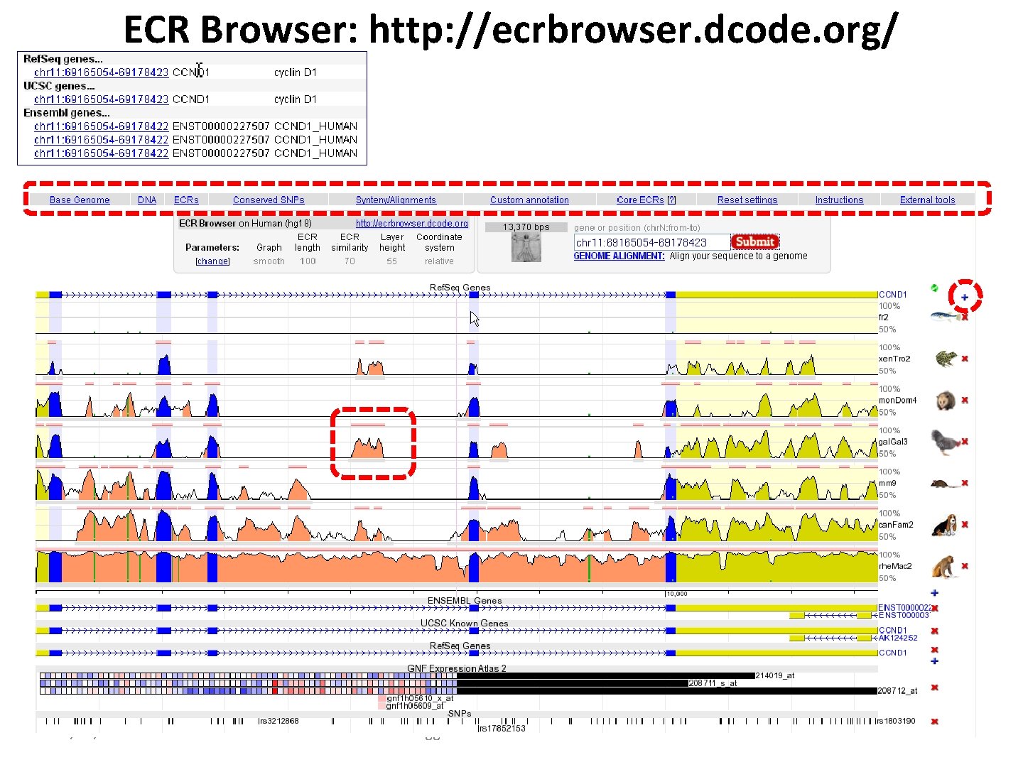 ECR Browser: http: //ecrbrowser. dcode. org/ 2/24/2012 Jegga Biomedical Informatics 28 