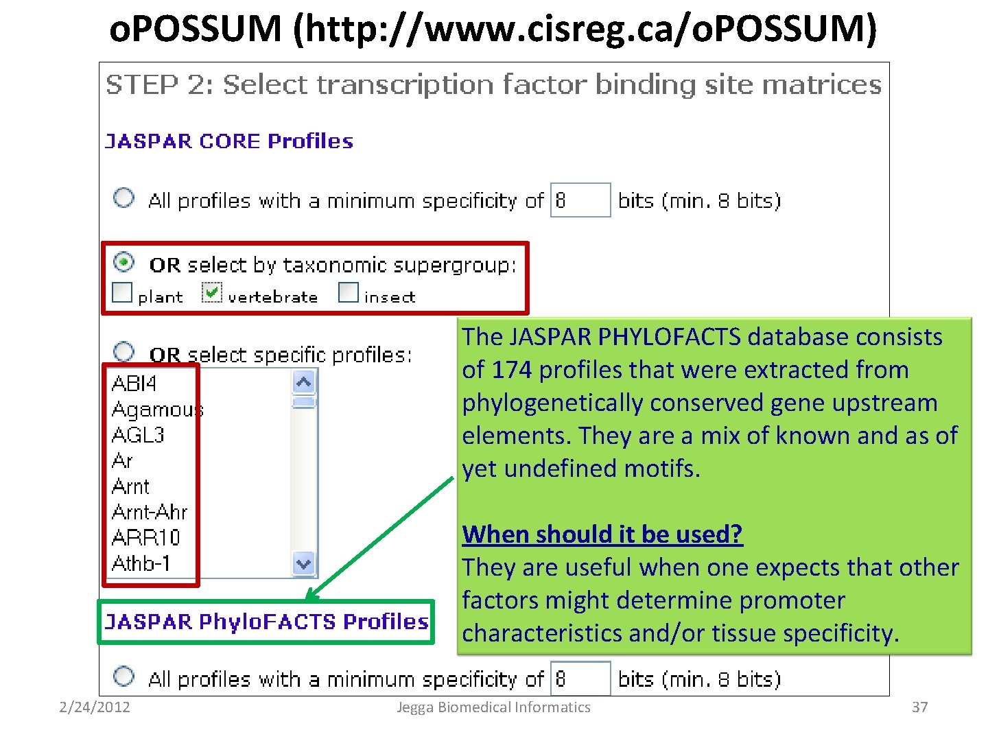 o. POSSUM (http: //www. cisreg. ca/o. POSSUM) The JASPAR PHYLOFACTS database consists of 174