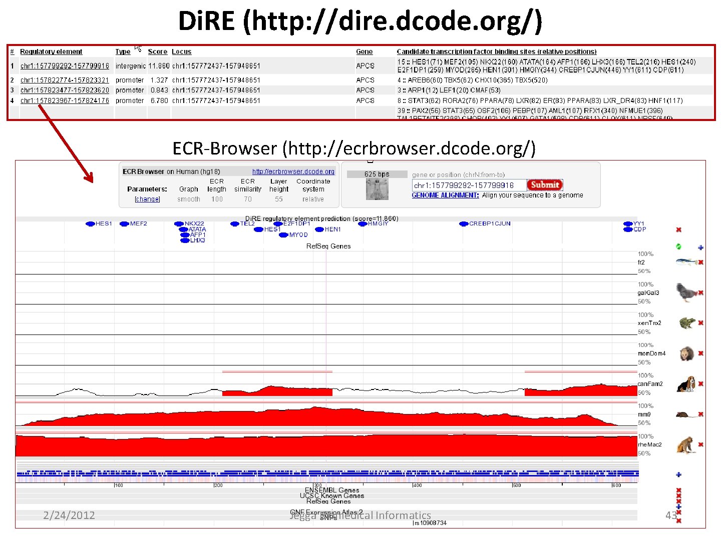 Di. RE (http: //dire. dcode. org/) ECR-Browser (http: //ecrbrowser. dcode. org/) 2/24/2012 Jegga Biomedical