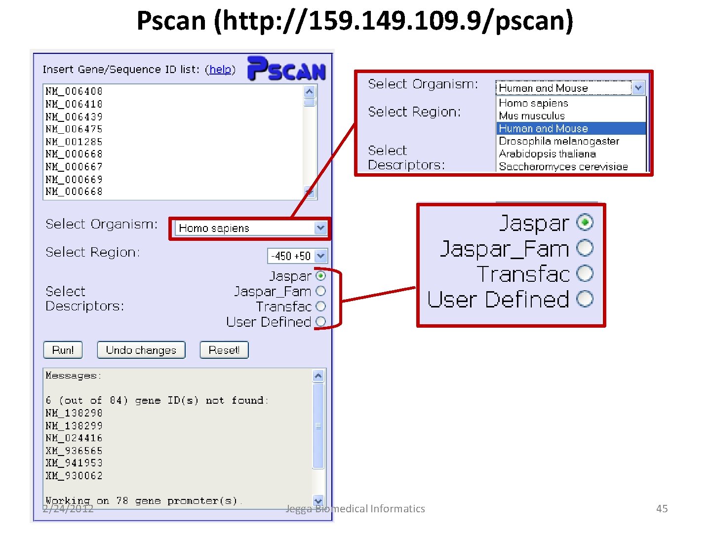 Pscan (http: //159. 149. 109. 9/pscan) 2/24/2012 Jegga Biomedical Informatics 45 