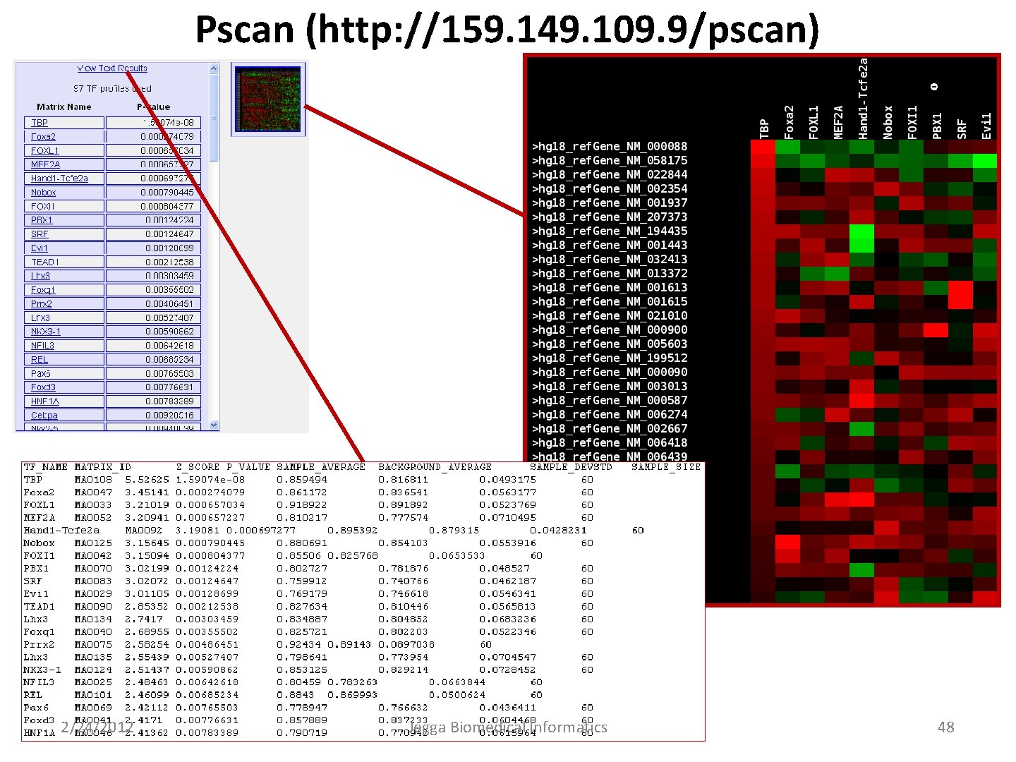 Pscan (http: //159. 149. 109. 9/pscan) 2/24/2012 Jegga Biomedical Informatics 48 