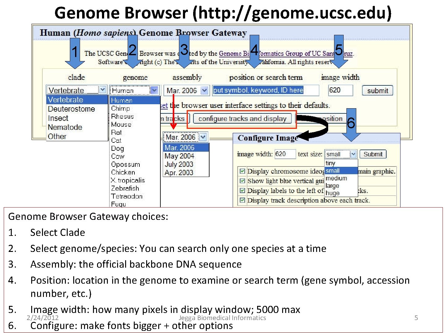 Genome Browser (http: //genome. ucsc. edu) 1 2 3 4 5 6 Genome Browser