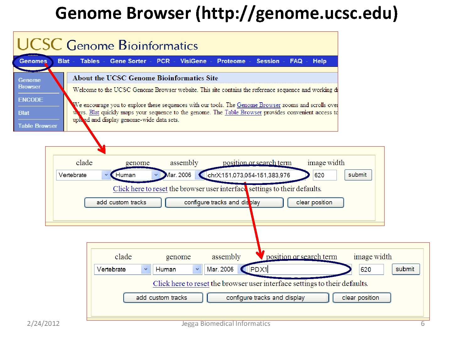 Genome Browser (http: //genome. ucsc. edu) 2/24/2012 Jegga Biomedical Informatics 6 