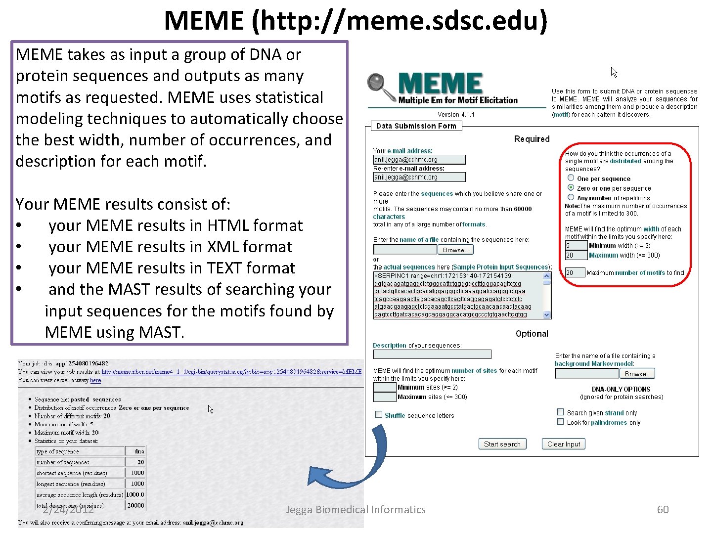 MEME (http: //meme. sdsc. edu) MEME takes as input a group of DNA or
