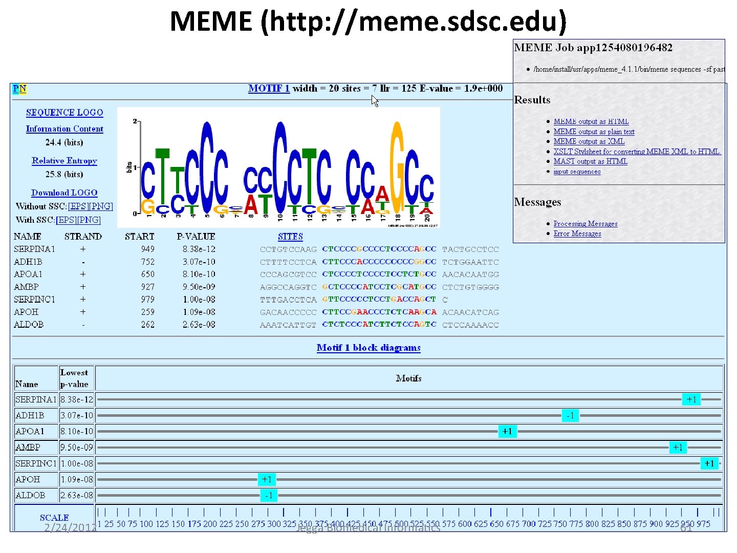 MEME (http: //meme. sdsc. edu) 2/24/2012 Jegga Biomedical Informatics 61 