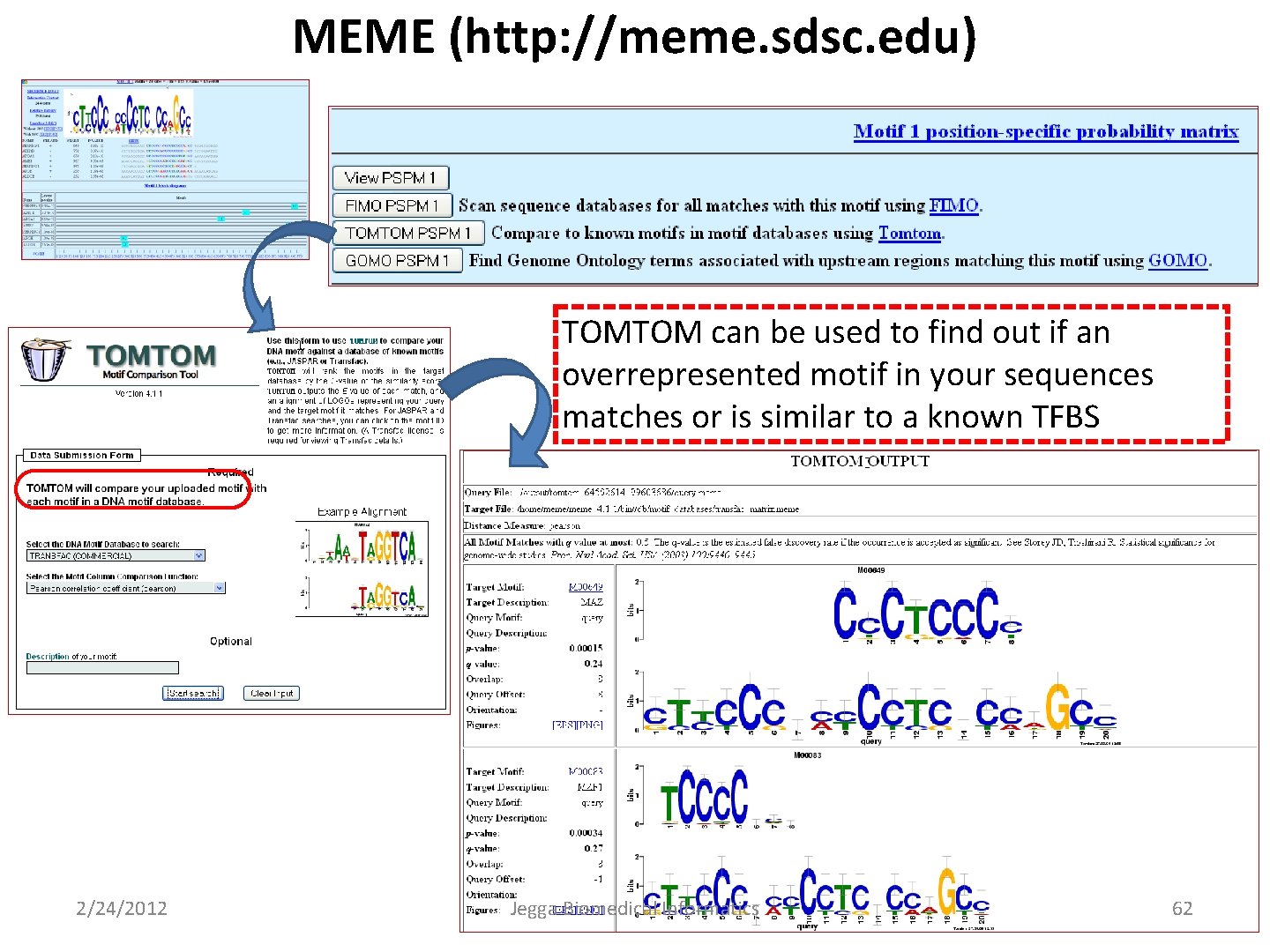 MEME (http: //meme. sdsc. edu) TOMTOM can be used to find out if an