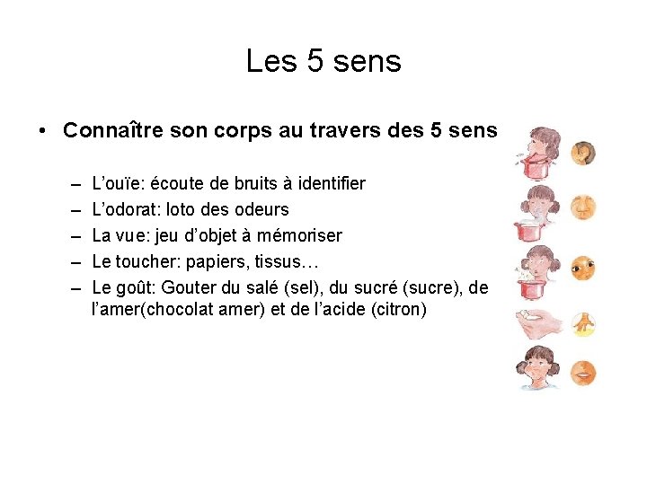 Les 5 sens • Connaître son corps au travers des 5 sens – –