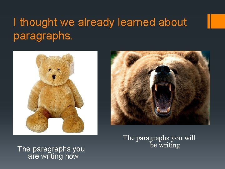 I thought we already learned about paragraphs. The paragraphs you are writing now The